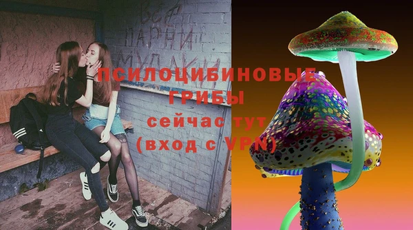 ГАЛЛЮЦИНОГЕННЫЕ ГРИБЫ Богородск